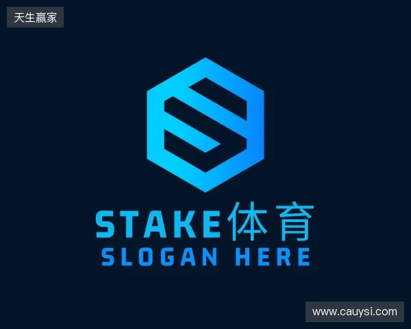 介绍Stake官网